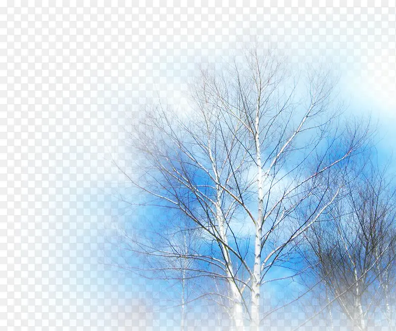 梦幻蓝色树林风景