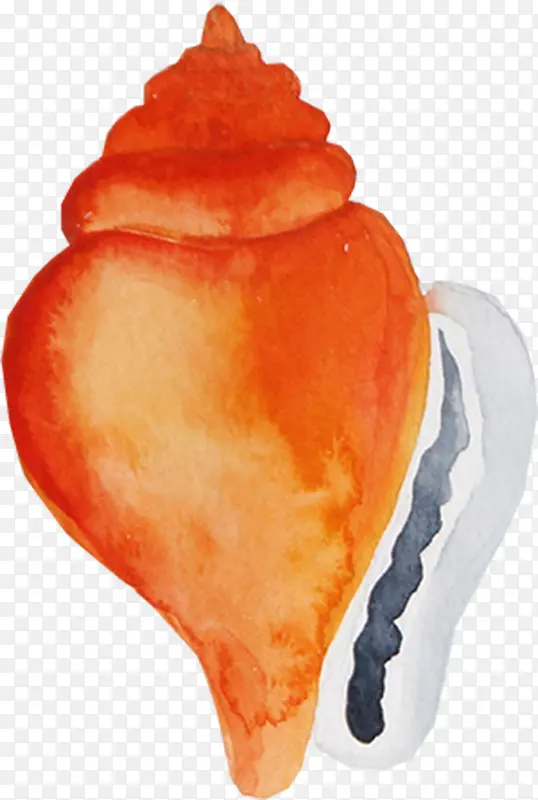 橘色海螺
