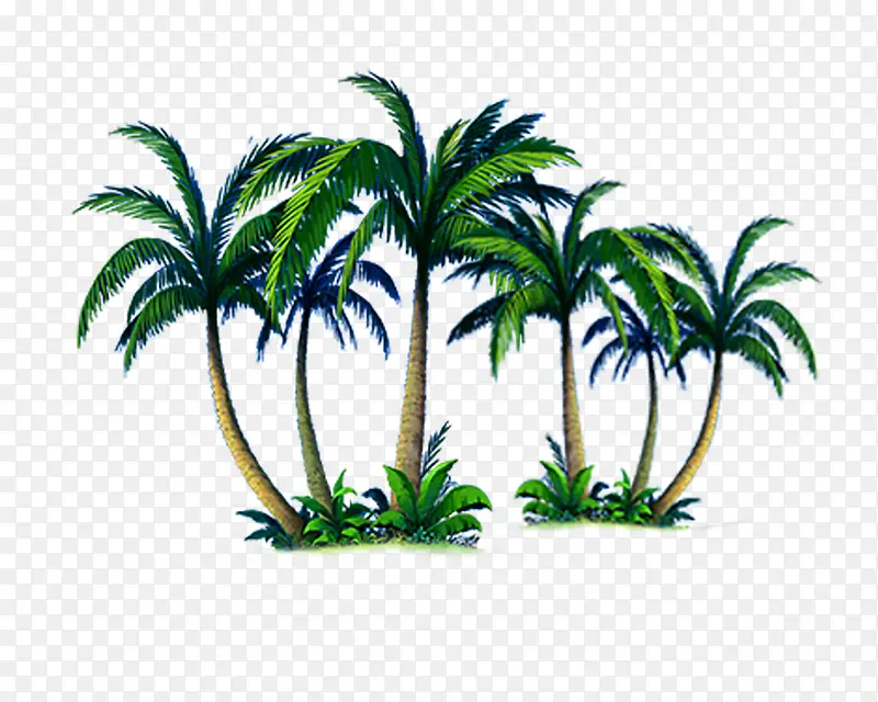 棕榈树小岛