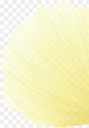 花瓣黄色花瓣透明花瓣