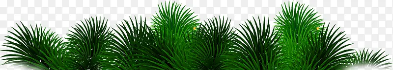 高清创意合成绿色的棕榈树树叶