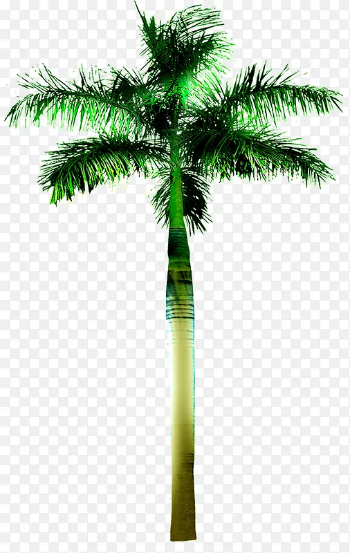 高清摄影创意合成绿色的棕榈树