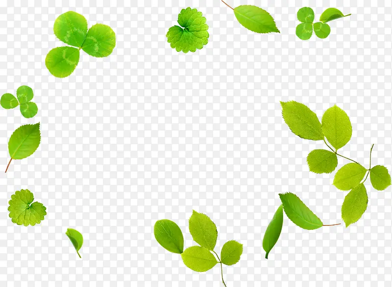 创意合成绿色的树叶效果造型