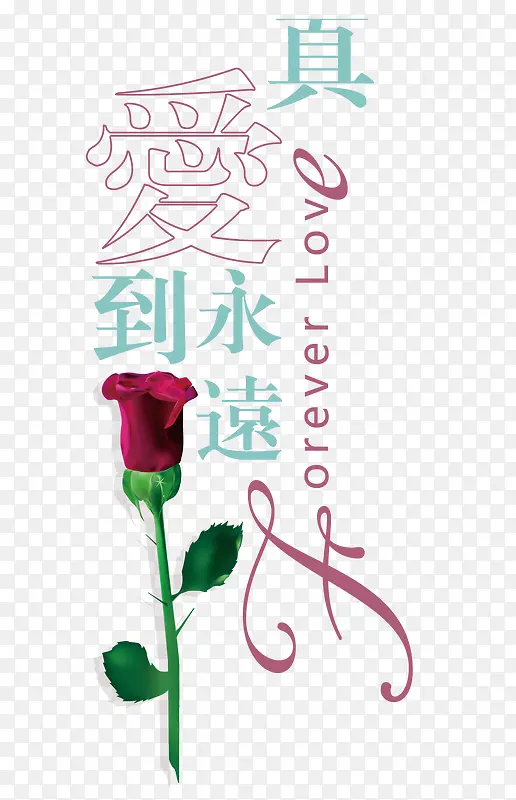 真爱素材PNG图片素材下载_图片编号ynzpexvg-免抠素材网