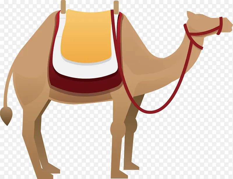 骆驼装饰