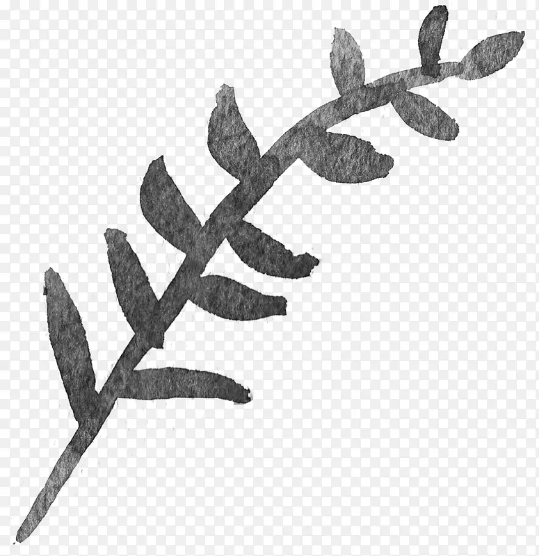水墨叶子图片