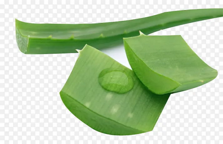 绿色芦荟材料素材