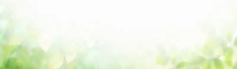 小清新绿色背景