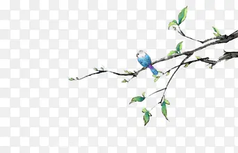 蓝色小鸟树叶图片