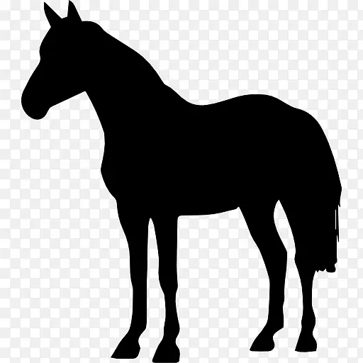 马站在黑色的形状图标