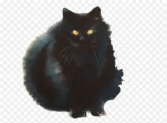 手绘黑猫