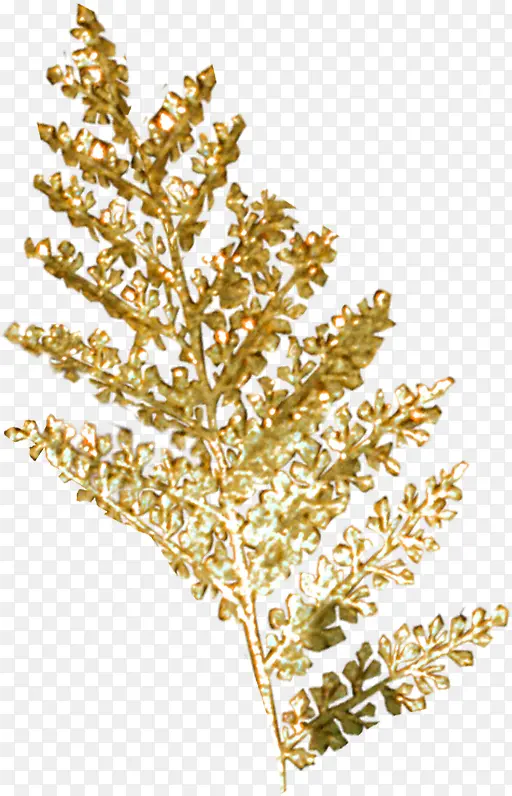 金色金箔树木树枝
