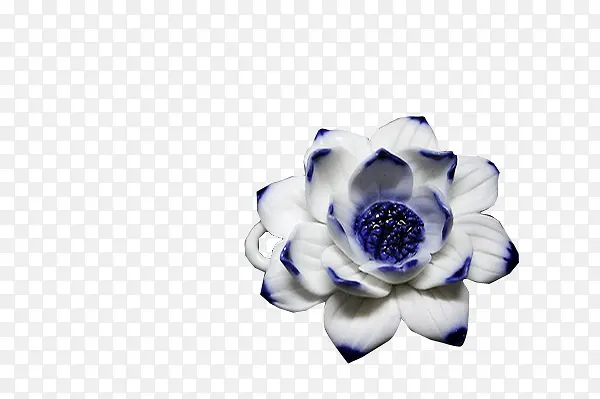 白蓝瓷花朵图片