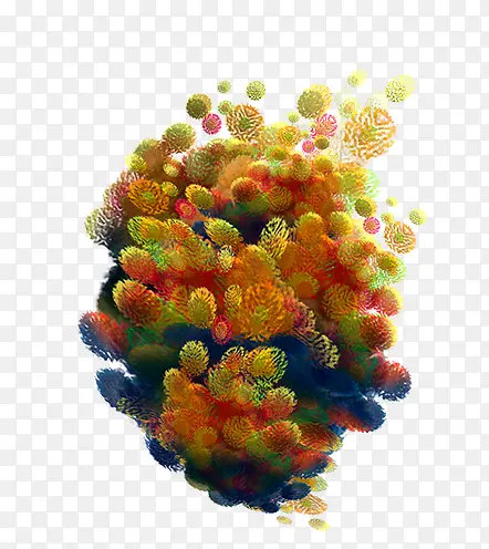 炫彩珊瑚