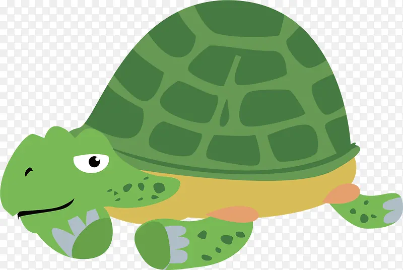 绿色小乌龟矢量图