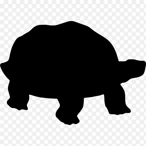 乌龟的轮廓图标
