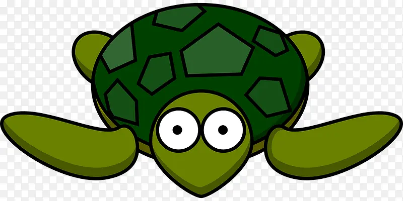 可爱乌龟插图