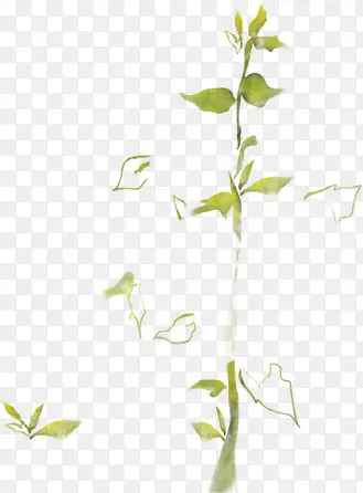 绿色树叶植物装饰美景PNG图片素材下载_图片编号yvvexrrx-免抠素材网
