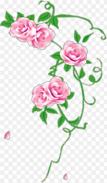 玫瑰花插画背景图片