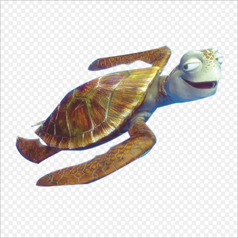 海龟