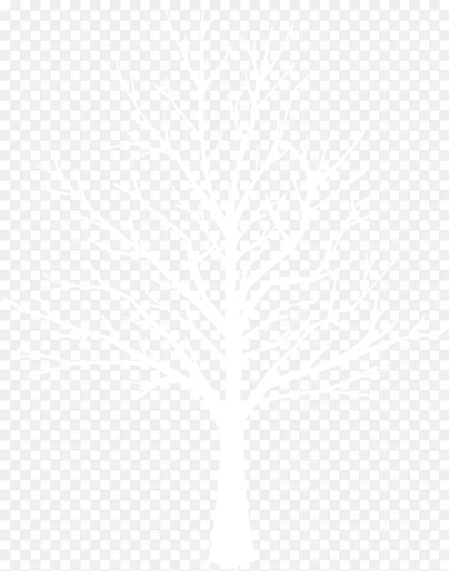 冬季树枝背景图片