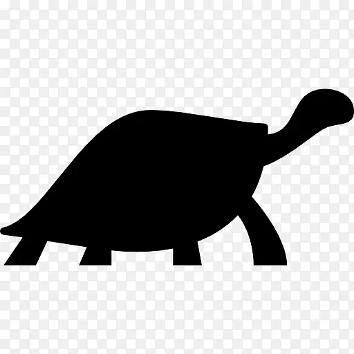 海龟面临图标