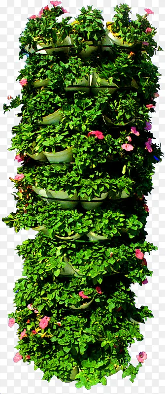 高清摄影效果合成绿色草本植物