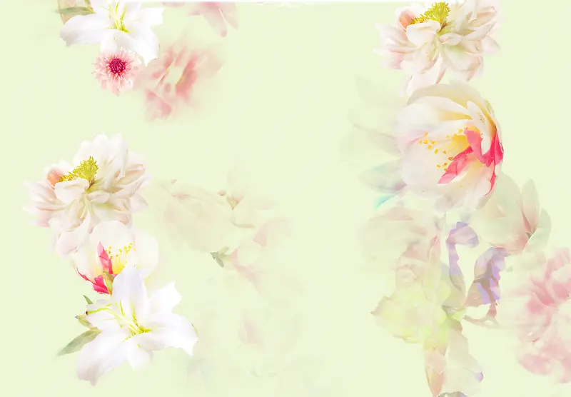 干净简约粉色花朵