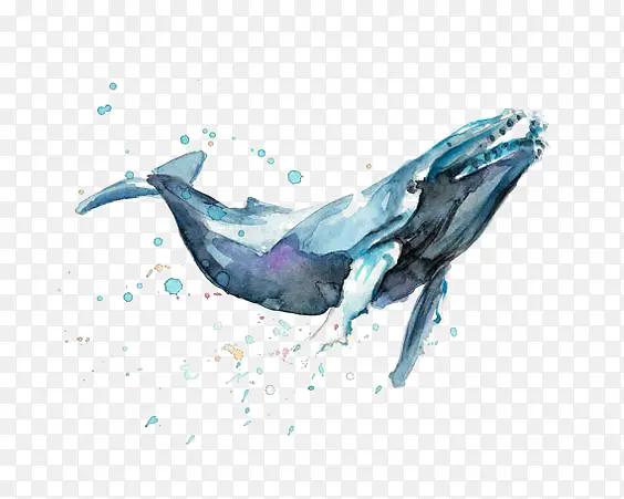 水彩海豚