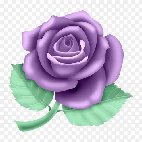 一朵紫花