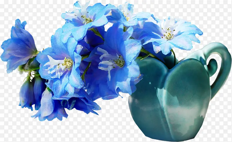 一堆蓝花