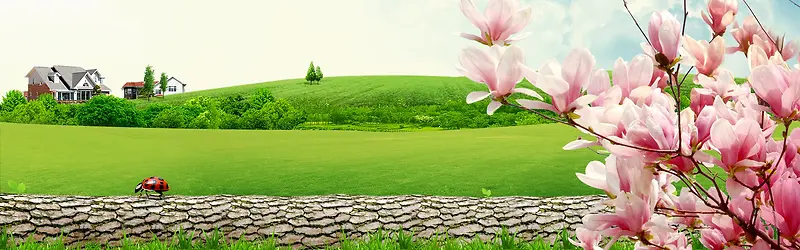 创意自然简约背景