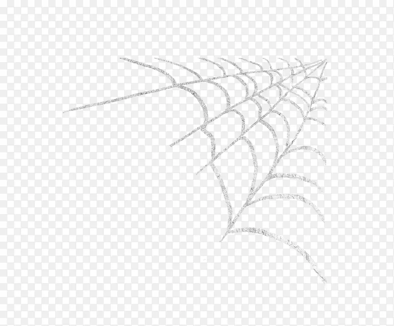 蜘蛛网蜘蛛丝