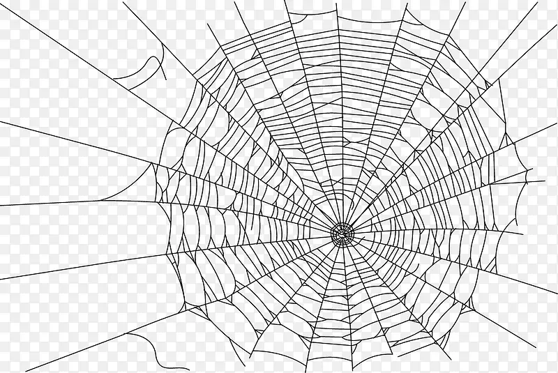 卡通手绘蜘蛛网