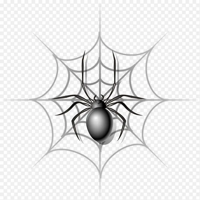 矢量手绘蜘蛛网