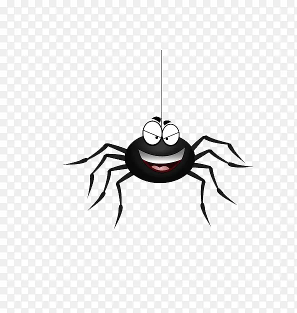 黑色蜘蛛