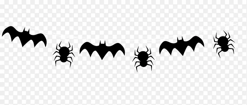 黑色蝙蝠蜘蛛