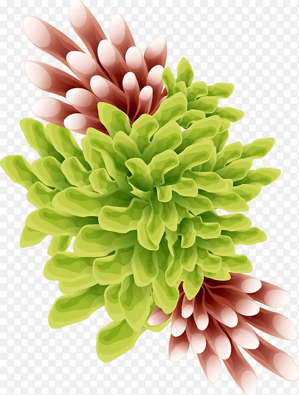 植物卡通海报手绘珊瑚