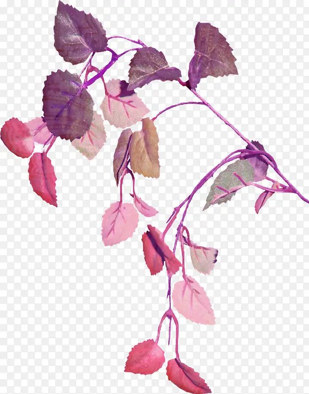 紫色唯美树叶植物手绘