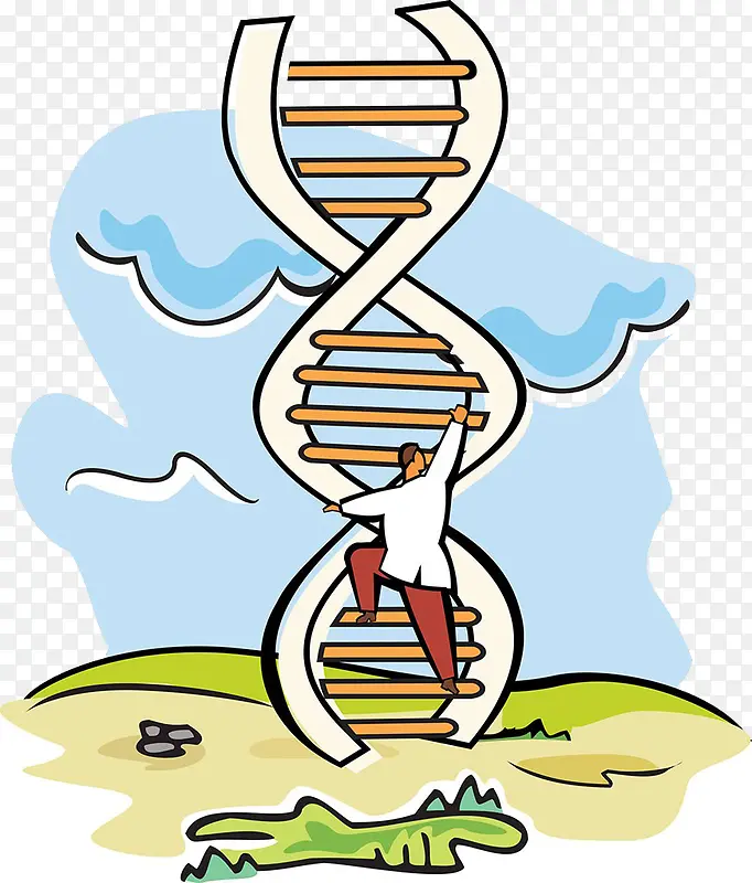 科学实验DNA梯子