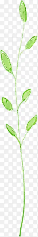 绿色手绘植物花草