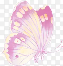 水彩蝴蝶