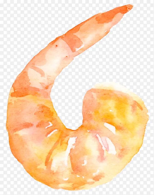 虾