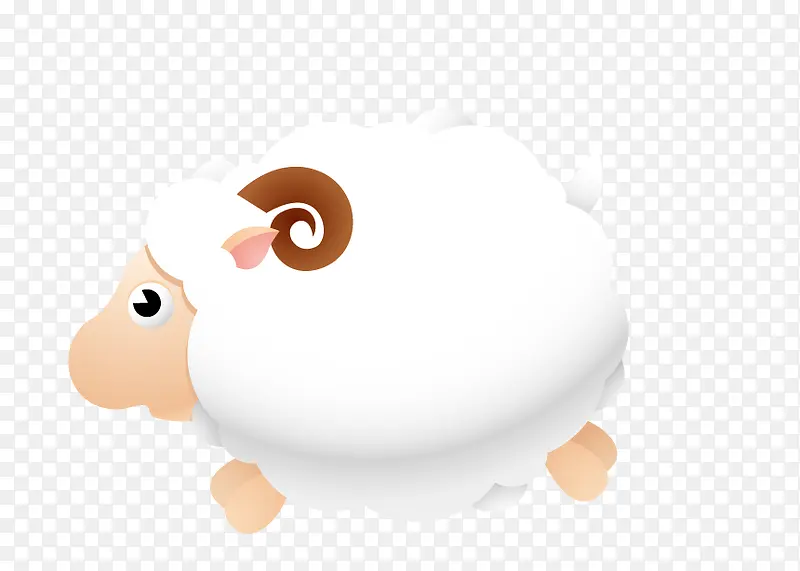 白色动物绵羊
