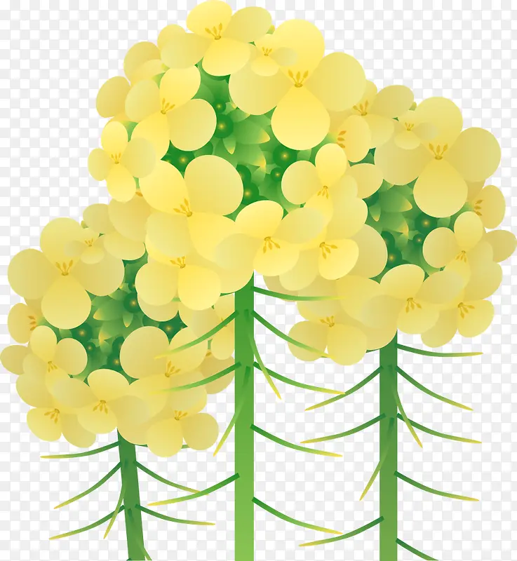 黄色小花花簇