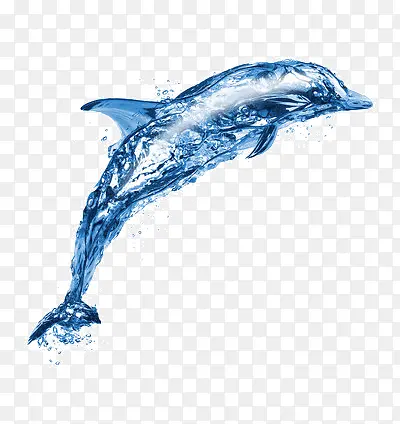 水合成的海豚