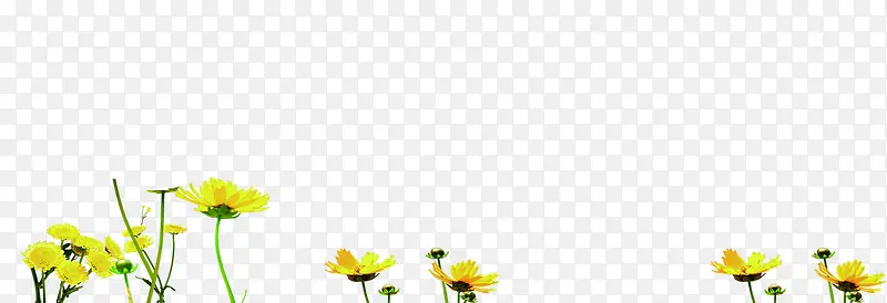 合成效果黄色的花卉植物
