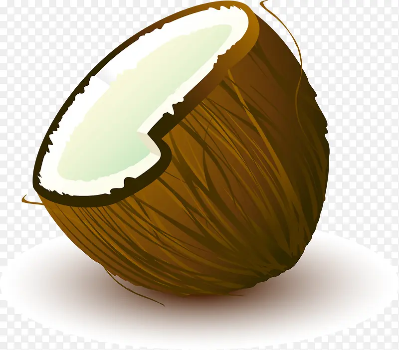 矢量手绘椰子
