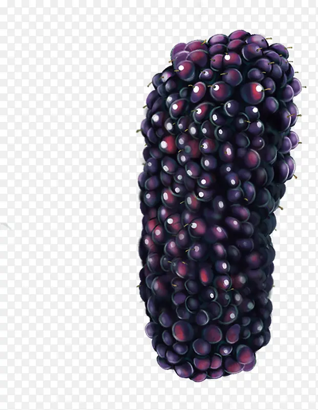 手绘高清紫色水果