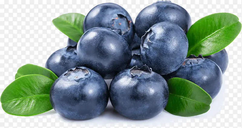 圆润多汁的蓝莓